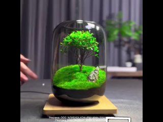 tree in a flask